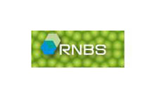 Hiroshima University - Research Center for Nanodevices and Systems (RCNS)  